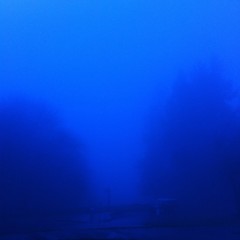 View from Council Crest toward Mt. Hood, which is NOT visible