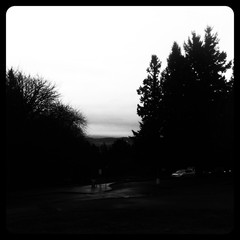 View from Council Crest toward Mt. Hood, which is NOT visible