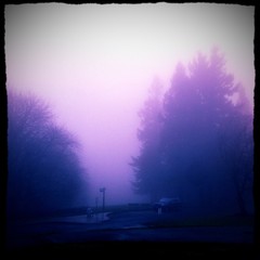 View from Council Crest toward Mt. Hood, which is NOT visible