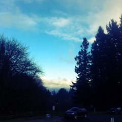 View from Council Crest toward Mt. Hood, which is NOT visible
