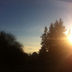 View from Council Crest toward Mt. Hood, which is visible