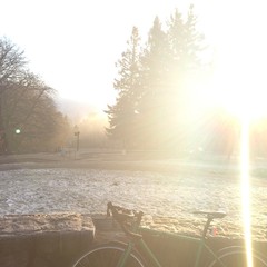View from Council Crest toward Mt. Hood, which is NOT visible