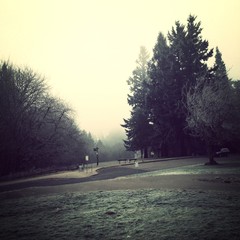 View from Council Crest toward Mt. Hood, which is NOT visible