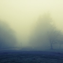 View from Council Crest toward Mt. Hood, which is NOT visible