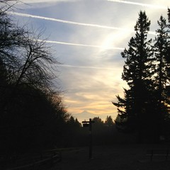 View from Council Crest toward Mt. Hood, which is visible