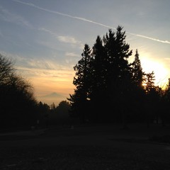 View from Council Crest toward Mt. Hood, which is visible