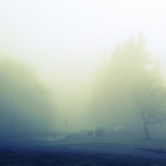 View from Council Crest toward Mt. Hood, which is NOT visible