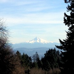 View from Council Crest toward Mt. Hood, which is visible