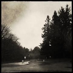 View from Council Crest toward Mt. Hood, which is NOT visible