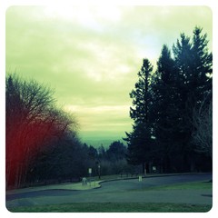 View from Council Crest toward Mt. Hood, which is NOT visible
