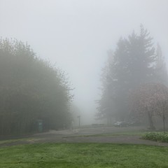 View from Council Crest toward Mt. Hood, which is NOT visible
