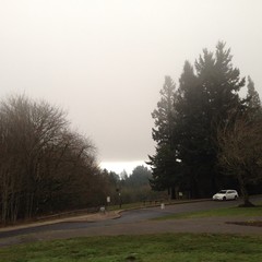 View from Council Crest toward Mt. Hood, which is NOT visible