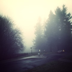 View from Council Crest toward Mt. Hood, which is NOT visible
