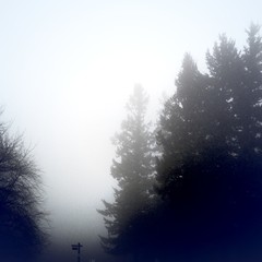 View from Council Crest toward Mt. Hood, which is NOT visible