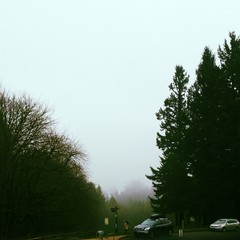 View from Council Crest toward Mt. Hood, which is NOT visible