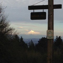 View from Council Crest toward Mt. Hood, which is visible