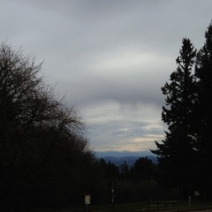 View from Council Crest toward Mt. Hood, which is visible