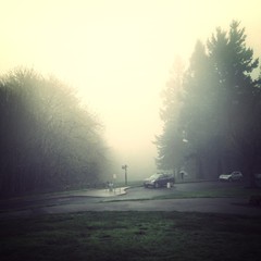 View from Council Crest toward Mt. Hood, which is NOT visible