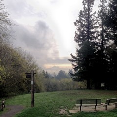 View from Council Crest toward Mt. Hood, which is visible