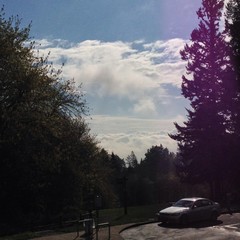 View from Council Crest toward Mt. Hood, which is visible