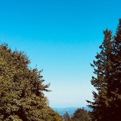 View from Council Crest toward Mt. Hood, which is visible