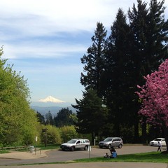 View from Council Crest toward Mt. Hood, which is visible