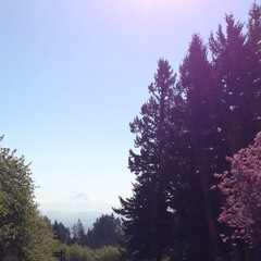 View from Council Crest toward Mt. Hood, which is visible