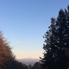 View from Council Crest toward Mt. Hood, which is visible