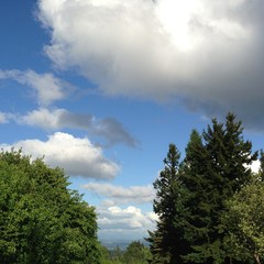 View from Council Crest toward Mt. Hood, which is NOT visible