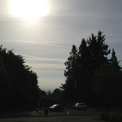 View from Council Crest toward Mt. Hood, which is NOT visible