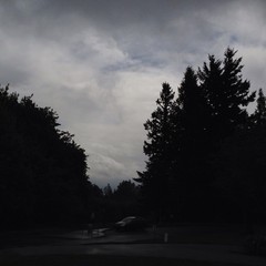 View from Council Crest toward Mt. Hood, which is NOT visible