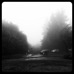 View from Council Crest toward Mt. Hood, which is NOT visible