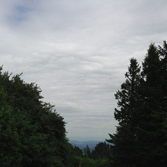View from Council Crest toward Mt. Hood, which is NOT visible