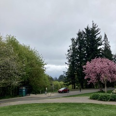 View from Council Crest toward Mt. Hood, which is NOT visible