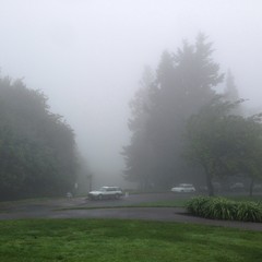 View from Council Crest toward Mt. Hood, which is NOT visible