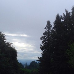 View from Council Crest toward Mt. Hood, which is NOT visible