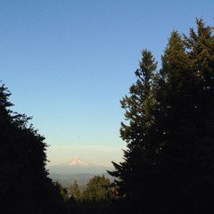 View from Council Crest toward Mt. Hood, which is visible