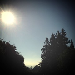 View from Council Crest toward Mt. Hood, which is NOT visible