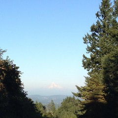 View from Council Crest toward Mt. Hood, which is visible
