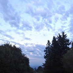 View from Council Crest toward Mt. Hood, which is visible