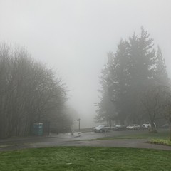 View from Council Crest toward Mt. Hood, which is NOT visible