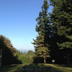 View from Council Crest toward Mt. Hood, which is visible