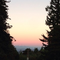 View from Council Crest toward Mt. Hood, which is visible