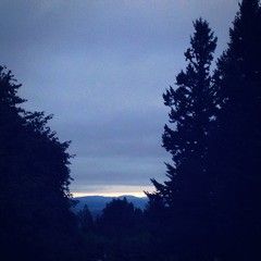 View from Council Crest toward Mt. Hood, which is NOT visible