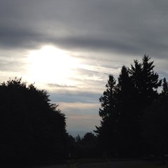 View from Council Crest toward Mt. Hood, which is visible