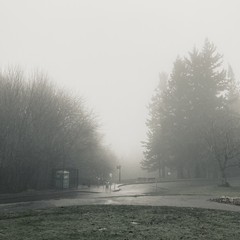 View from Council Crest toward Mt. Hood, which is NOT visible