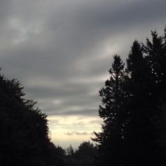 View from Council Crest toward Mt. Hood, which is NOT visible