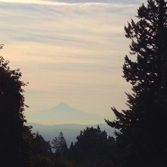 View from Council Crest toward Mt. Hood, which is visible