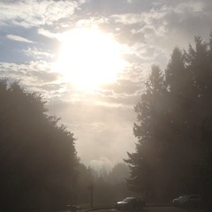 View from Council Crest toward Mt. Hood, which is NOT visible