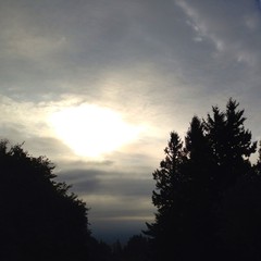 View from Council Crest toward Mt. Hood, which is NOT visible